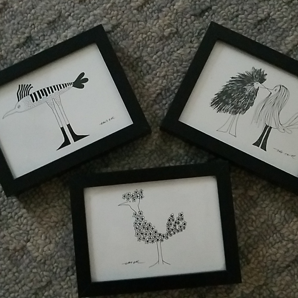 Set of three cute bird pics